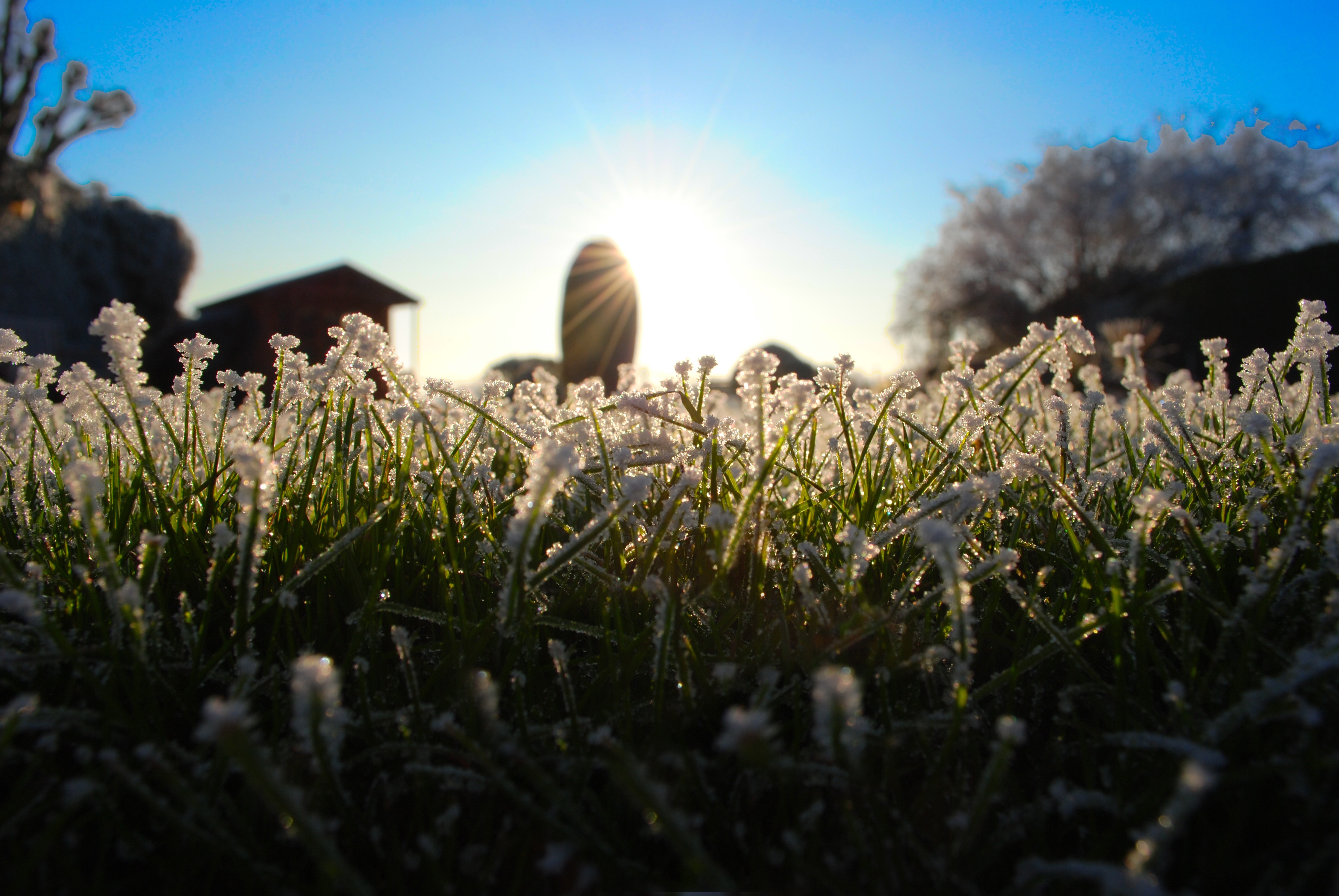 Winter's frost in the morning